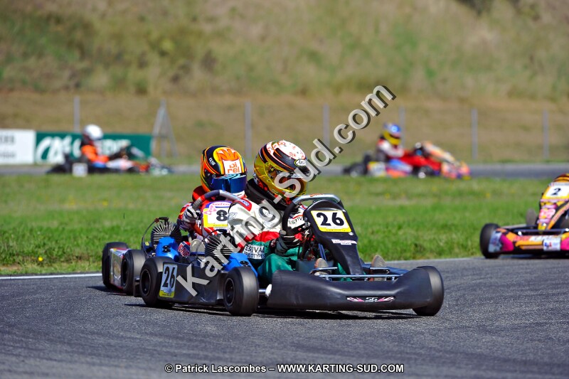 DSC_ (1316).jpg